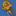 Mush Sample