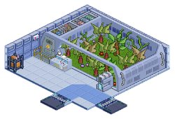 Room-garden.png